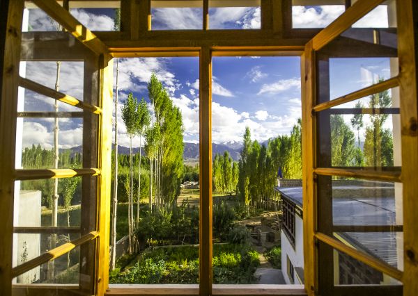 Wood Window Replacement Service
